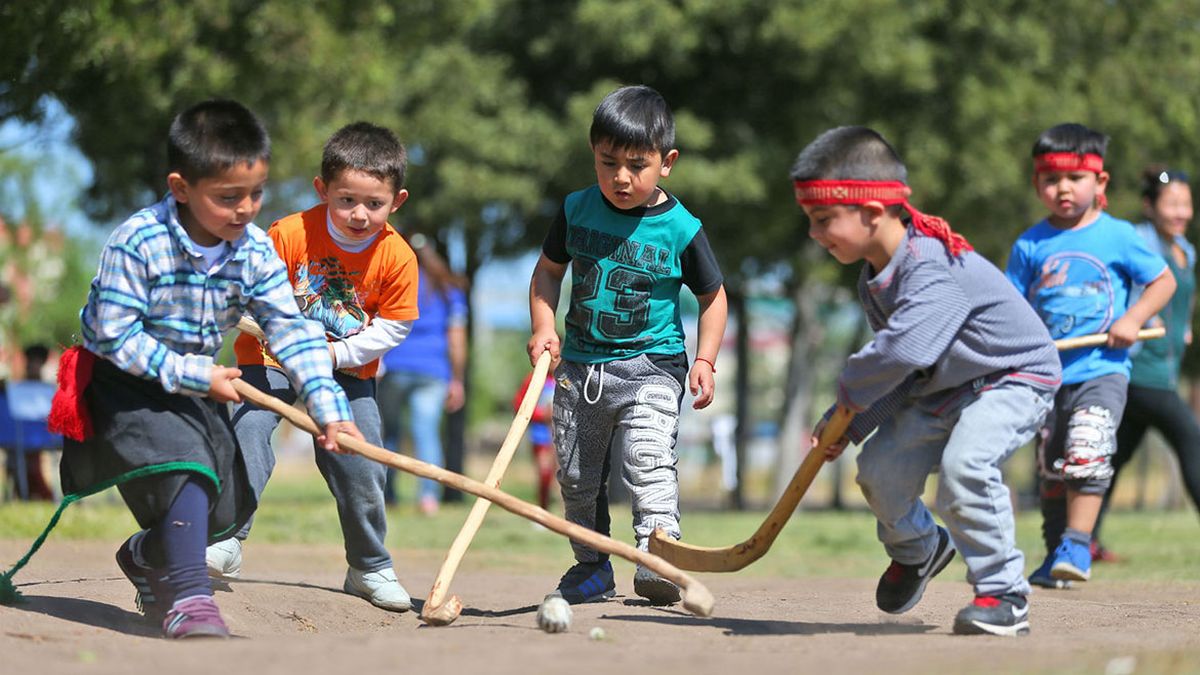 Palin or Palitun (Mapuches, Chile)