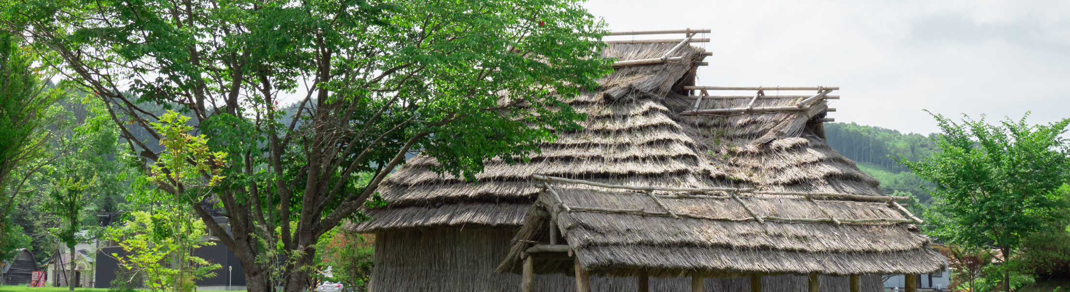 Ainu Cultural Banner