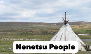 Nenets People
