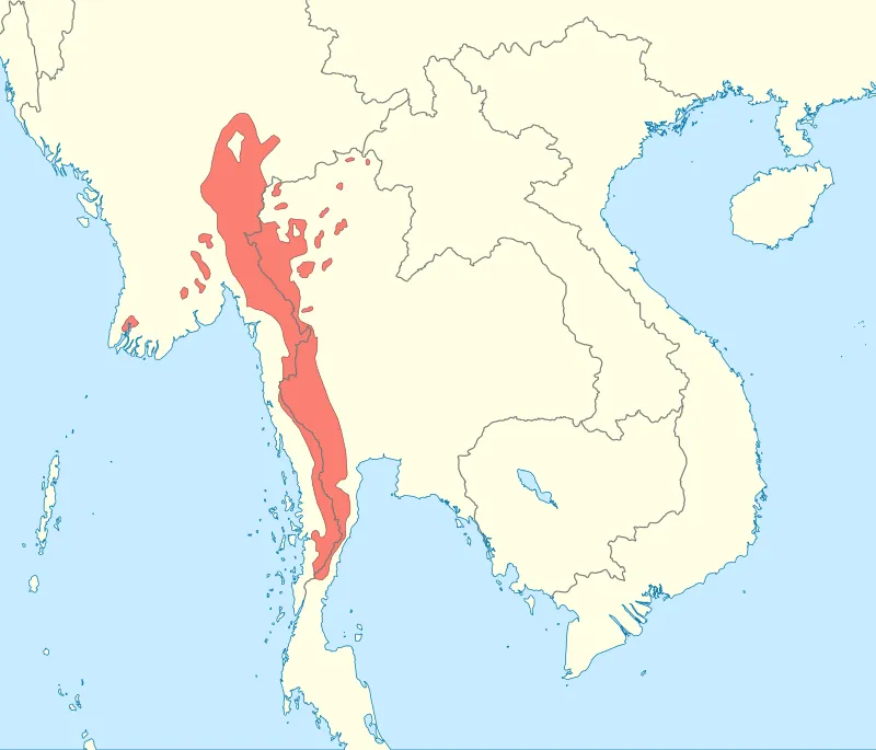 karen Map